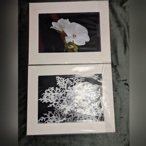 Botanical Wall Arr. Framed Nature Photography Prints. Gina Petrecca Photography
